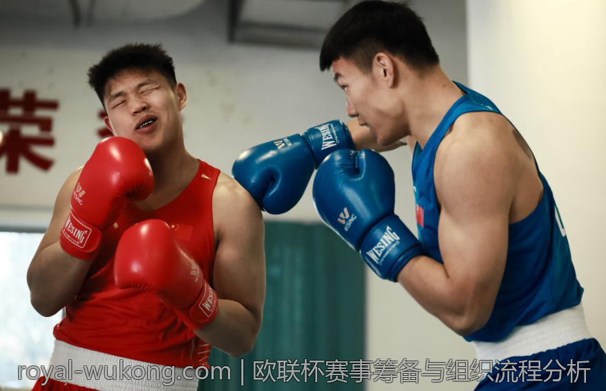 欧联杯赛事筹备与组织流程分析