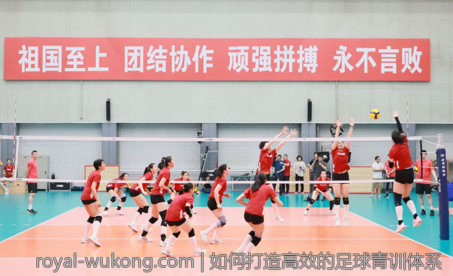 如何打造高效的足球青训体系